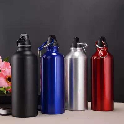 kaufen 750 ml Wasserflaschen mit Karabiner Portable Aluminium Wasserflasche undicht Wasserkrug für Wandern Reisen Outdoor Sport Fitness online manufacture